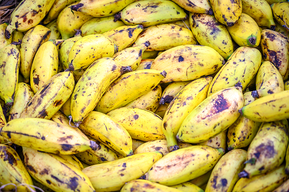 Close up of small bananas in basket, Debre Berhan, Ethiopia