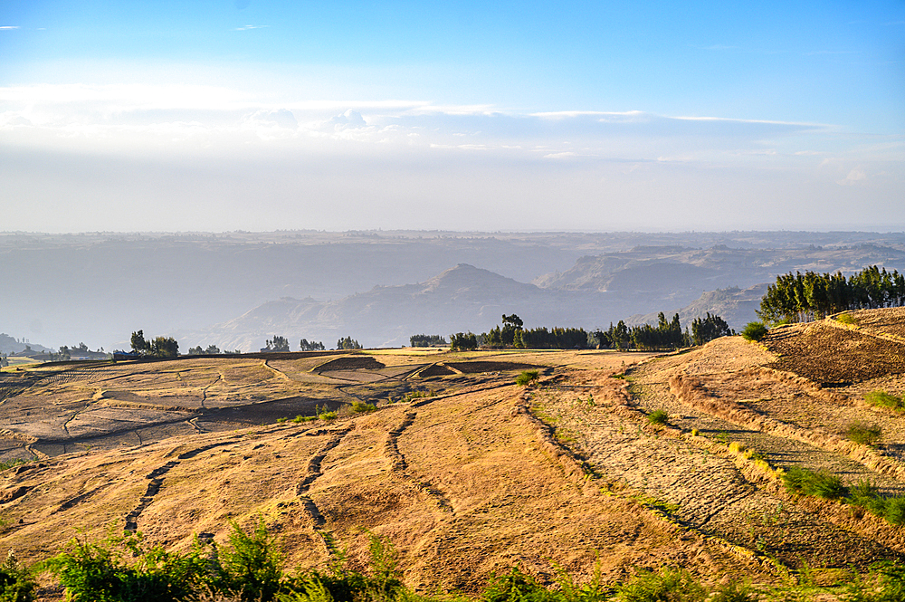 Fields for farming purposes near Debre Berhan, Ethiopia