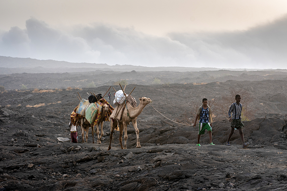 A caravan of camels and tourists traversing the barren volcanic landscape surrounding the Erta Ale Volcano in the Afar Region of Ethiopia