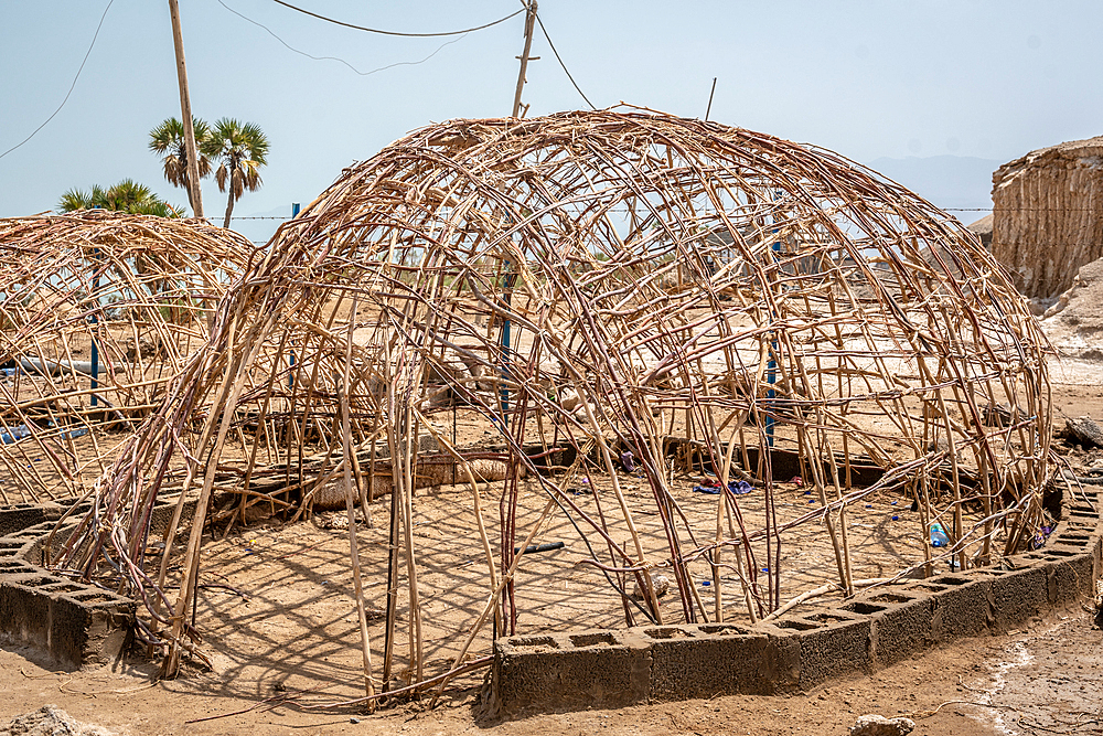 The wooden frames of huts under construction, Danakil Depression, Ethiopia