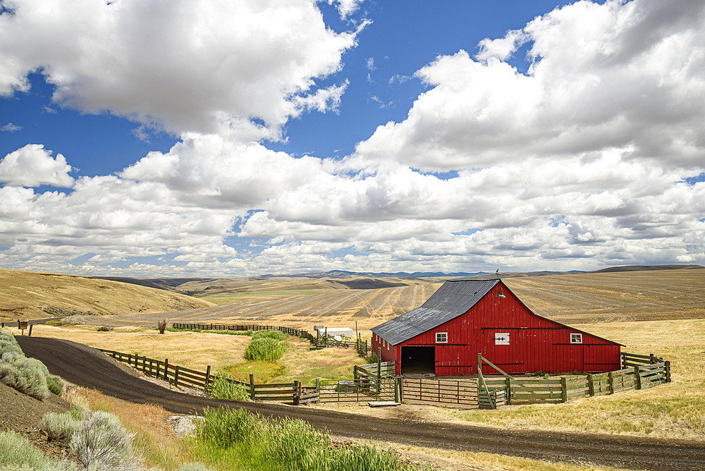 Barn at Anderson Ranch ("Since 1905"), Highway 206, between Condon and Heppner in eastern Oregon.