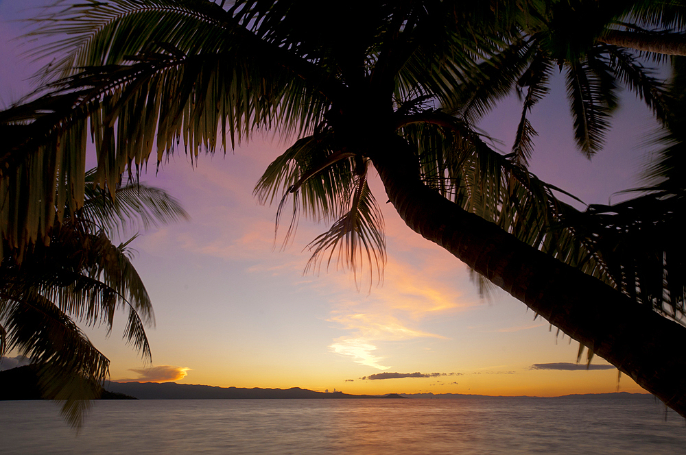 Coconut palm trees and ocean at sunset; Matangi Private Island Resort, Fiji