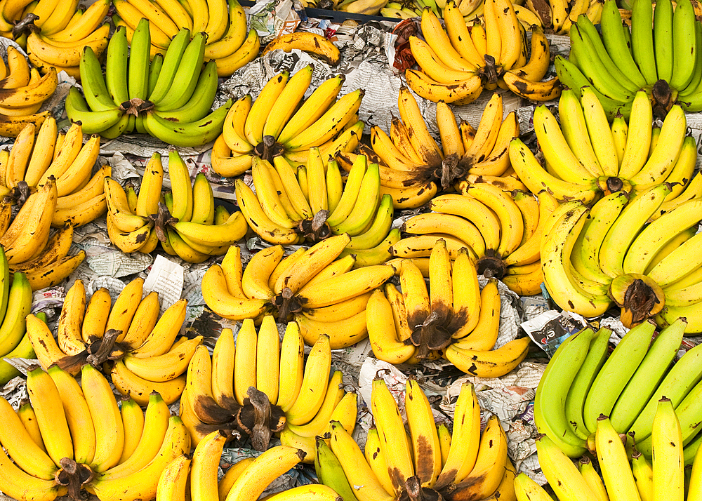 Bananas for sale in Pratu Chiang Mai market; Chiang Mai, Thailand.