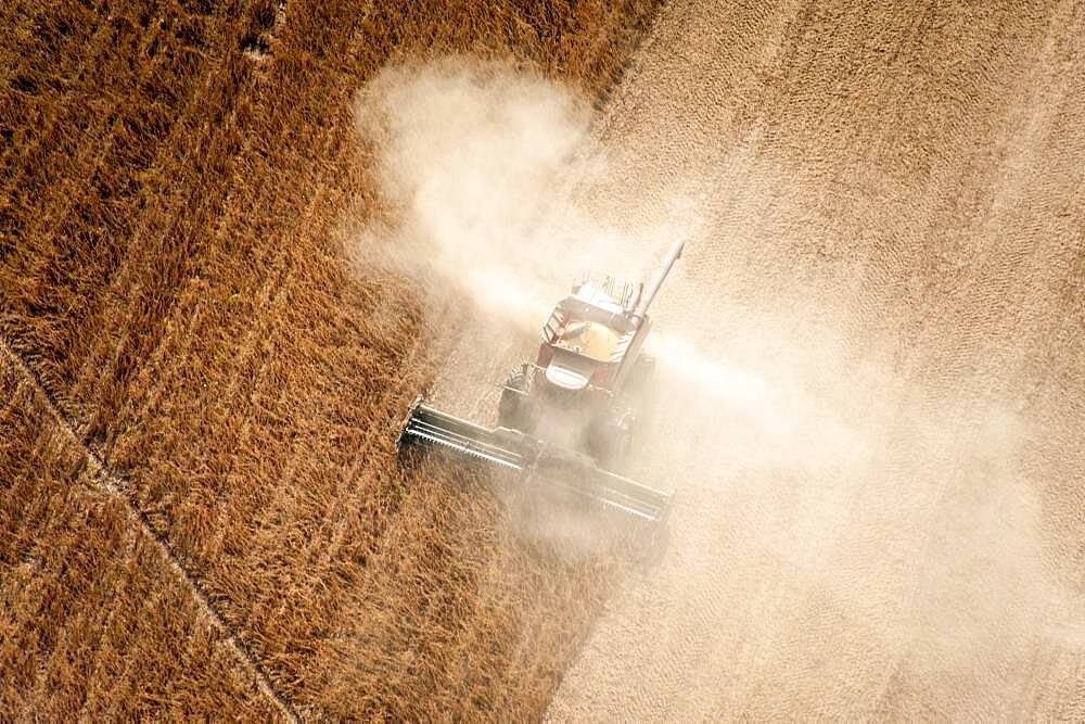 Aerial of soybean harvest in Maryland