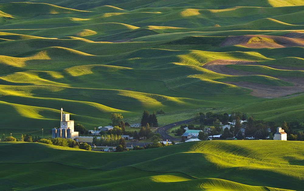 Palouse country wheat fields and the town of Steptoe from Steptoe Butte, Washington.