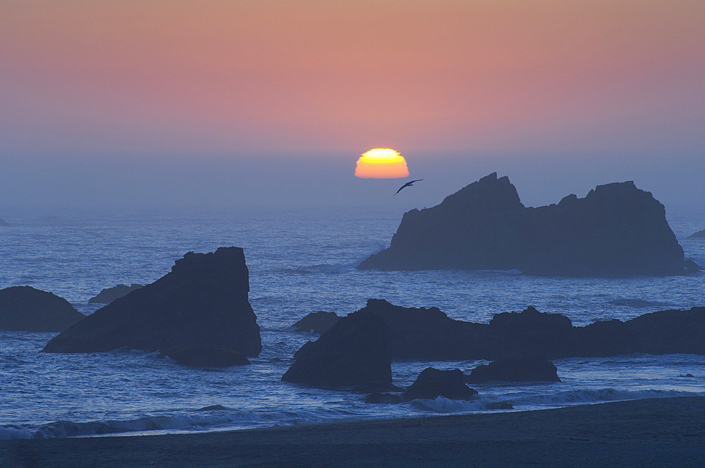 Sun setting into offshore fog bank at Harris Beach State Park, Oregon coast.