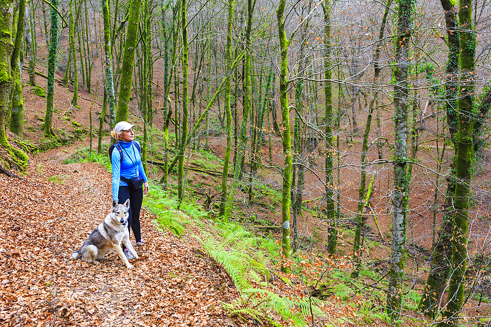 Woman with a dog in a beechwood. Se√±orio de Bertiz Natural Park. Navarre, Spain, Europe