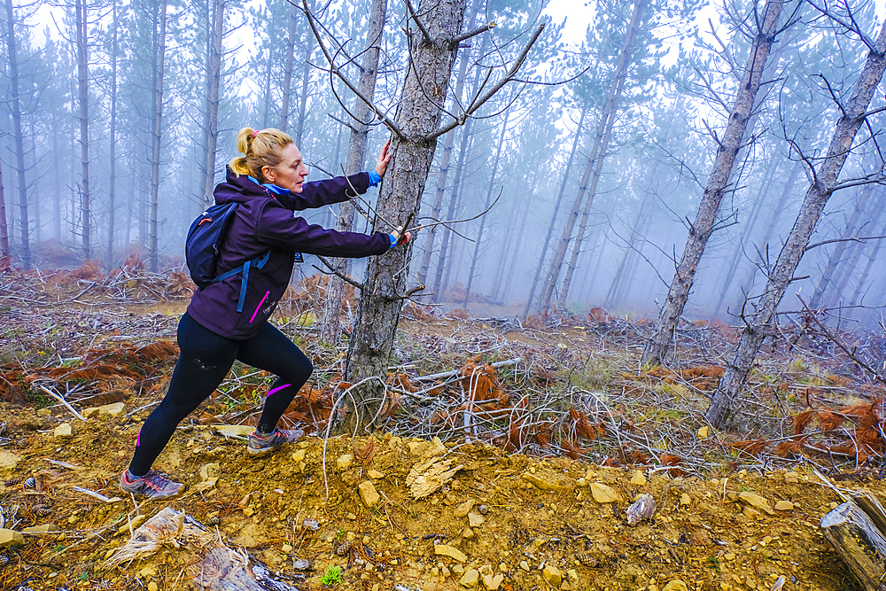 Woman doing sport in a pine forest. Bargota village area. Navarre, Spain, Europe