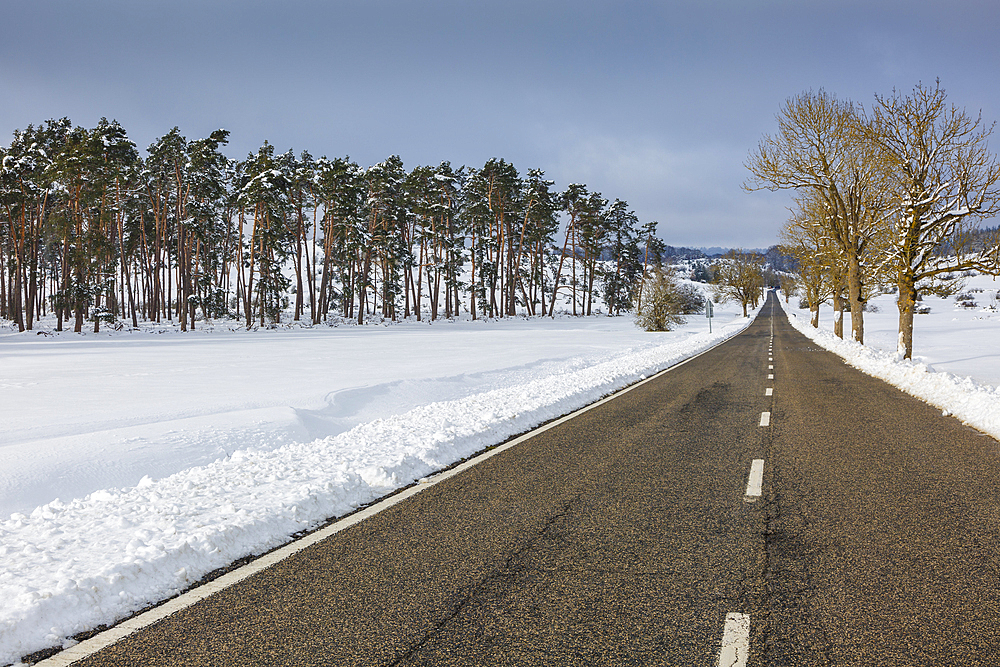 Trees and road in a snow-covered landscape. Urbasa-Andia Natural Park. Navarre, Spain, Europe