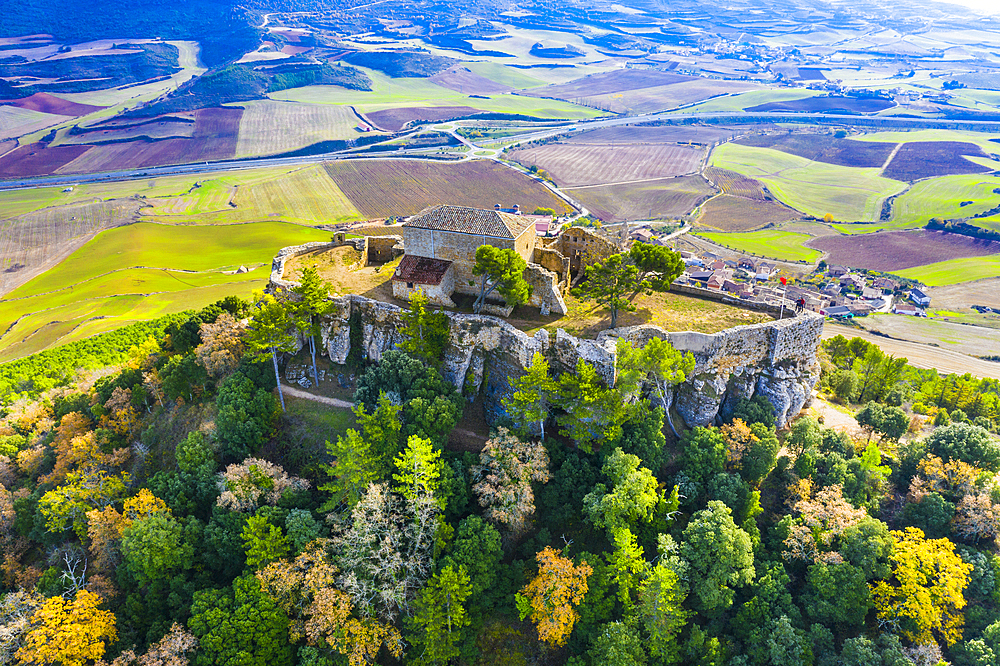 Castle. Villamayor de Monjardin. Navarre, Spain, Europe