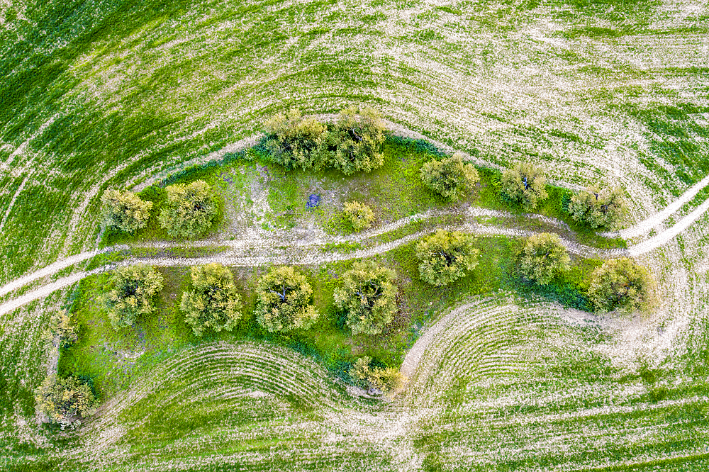 Agricultural aerial landscape, Tierra Estella, Navarre, Spain, Europe