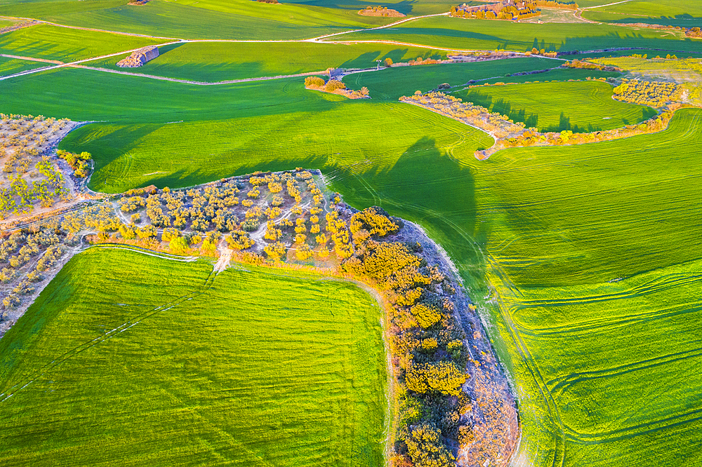 Agricultural aerial landscape, Tierra Estella, Navarre, Spain, Europe