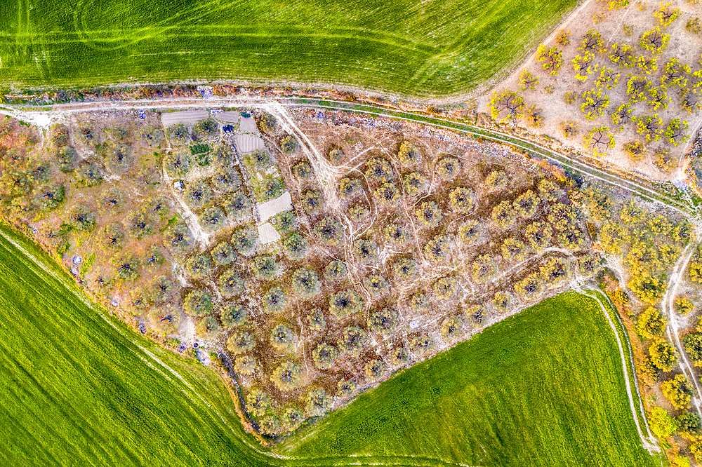 Agricultural aerial landscape, Tierra Estella, Navarre, Spain, Europe