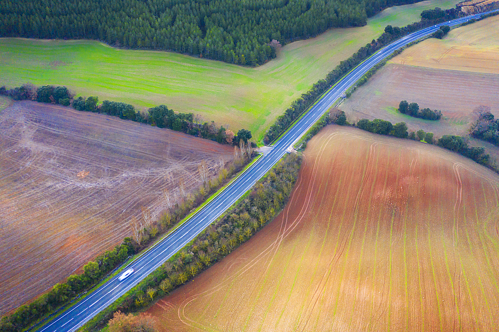 Agricultural area. Aerial view. Ayegui area. Navarre, Spain, Europe