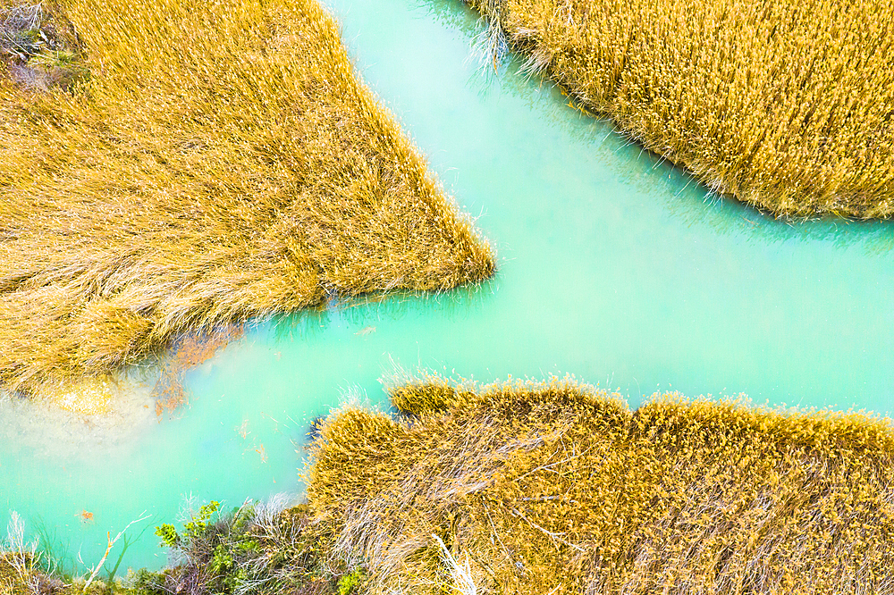 Reedbed and river. Alloz reservoir. Navarre, Spain, Europe