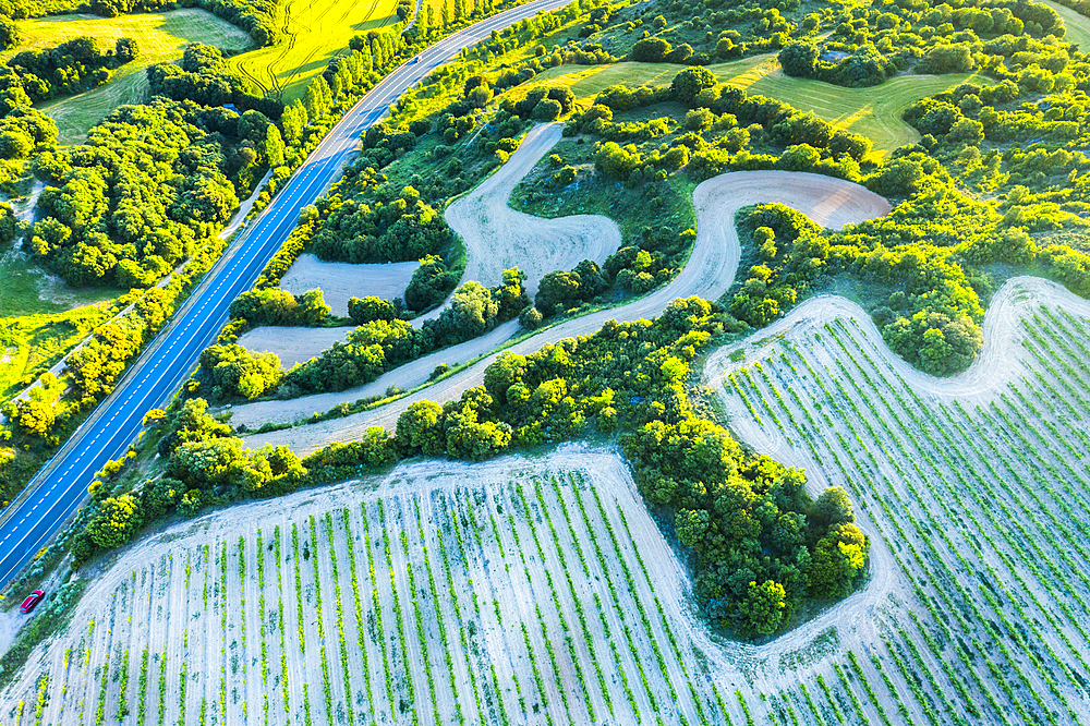 Farmland with vineyard and road. Iguzquiza, Navarre, Spain, Europe