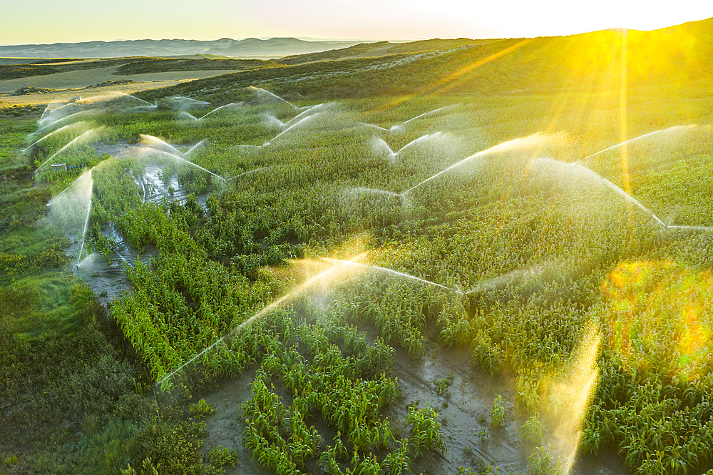 Farmland with watering. Aerial view. Navarre, Spain, Europe