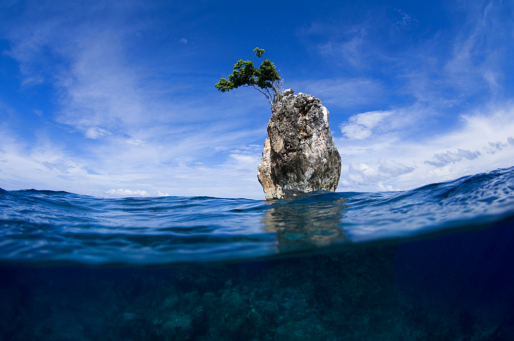 One Tree Rock, Boo Island, Misool, Raja Ampat, West Papua, Indonesia, Pacific Ocean