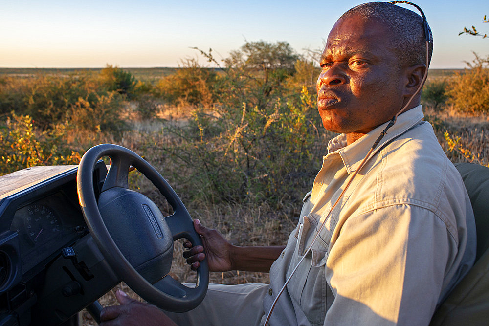 Guide of a safari vehicle at Mashatu game reserve, Botswana, Africa