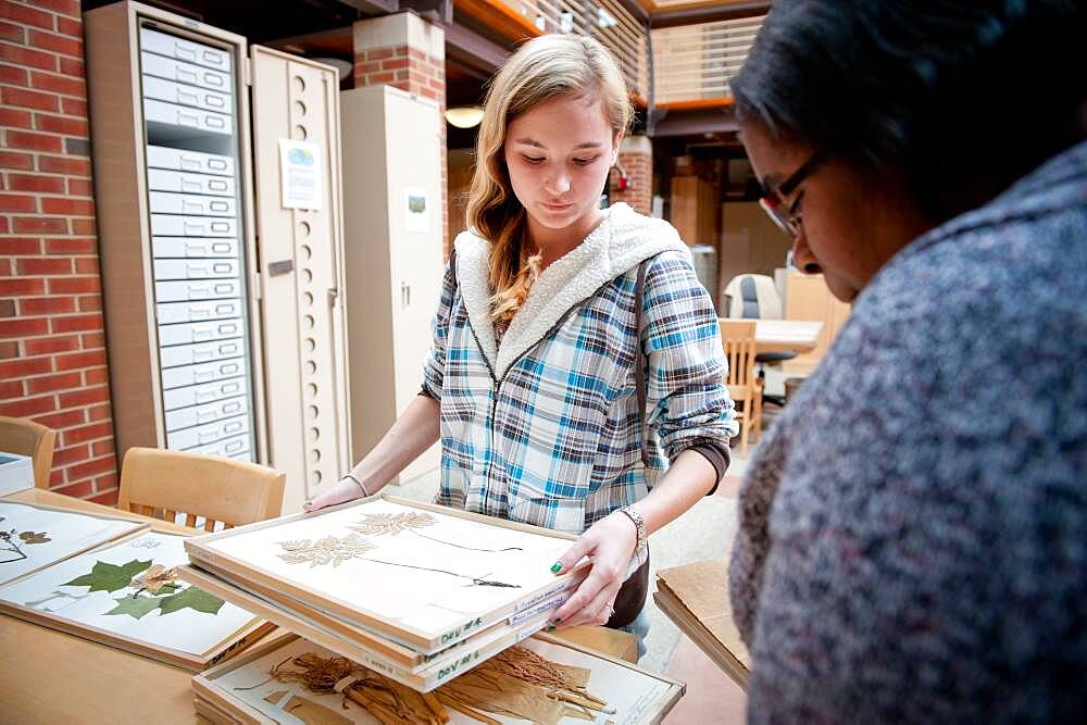 Girls organizing frames of pressed leaves and flowers