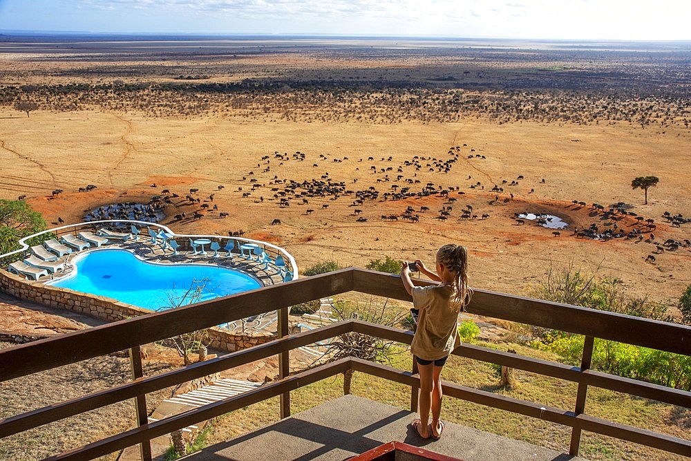 Tourist girl taking pictures of African buffalos Syncerus caffer herd drinking in front of Voi lodge, aerial view, Tsavo East National Park, Kenya