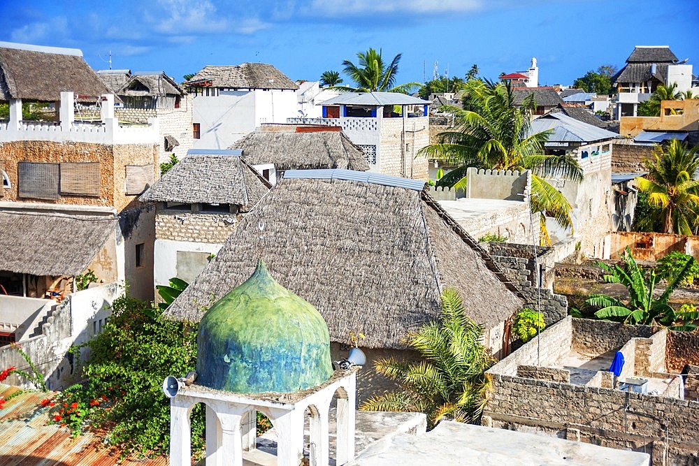 Rooftops architecture houses and strees of the city town of Lamu in Kenya