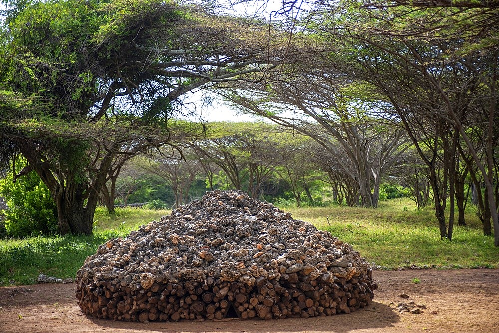 Tomb Ruins at Takwa on Manda Island near Lamu Kenya