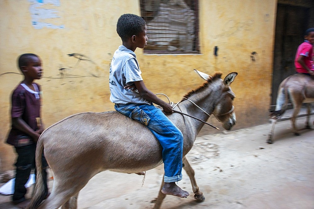 Young boy riding donkeys on the main street of Lamu town in Lamu Island, Kenya.