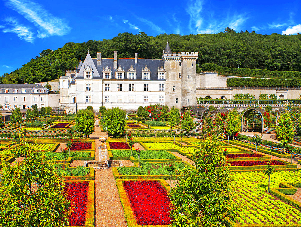 The castle and the gardens of Villandry, Loire Valley, France. The beautiful castle and gardens at Villandry, UNESCO World Heritage Site, Indre et Loire, Centre, France, Europe These gardens are divided into different areas; an ornamental next to the castle (dedicated to the tender love, passionate love, the unfaithful love and tragic love); a water garden around the pond; and a garden of medicinal herbs; aromatic; and horticulture.