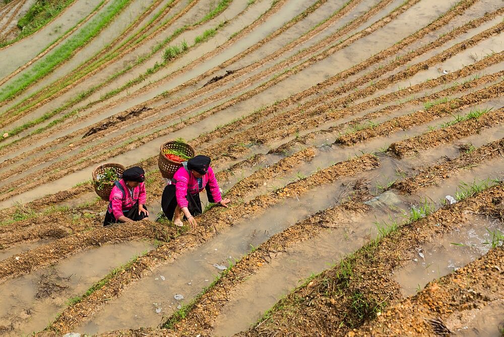 Two woman of the Red Yao ethnic minority in the Ping'an areaa of the Longshen rice terraces in China.