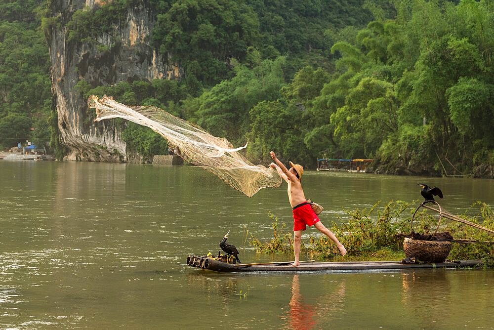 A cormorant fisherman in a conical hat on a bamboo raft throws a cast net in the Li River, Xingping, China.