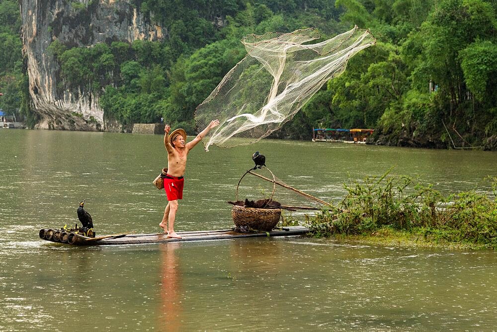 A cormorant fisherman in a conical hat on a bamboo raft throws a cast net in the Li River, Xingping, China.