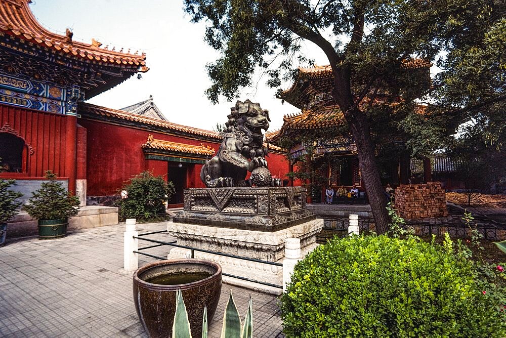 A bronze guardian lion statue in the Lama Temple complex, a Buddhist temple in Beijing, China.