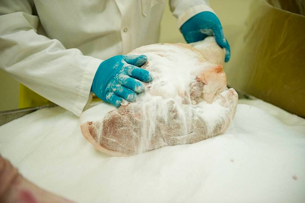 Workers making salt cured hams