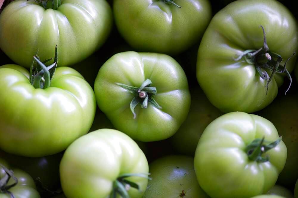 Green tomatoes