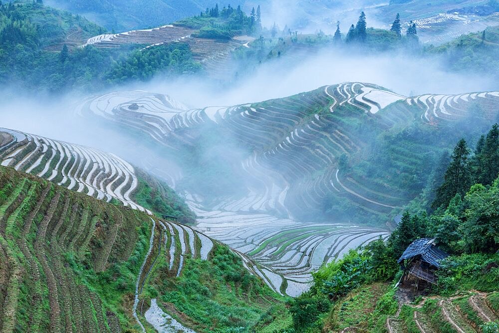 Ground fog over the Ping'an terraces of the Longi rice terraces in Longshen, China.