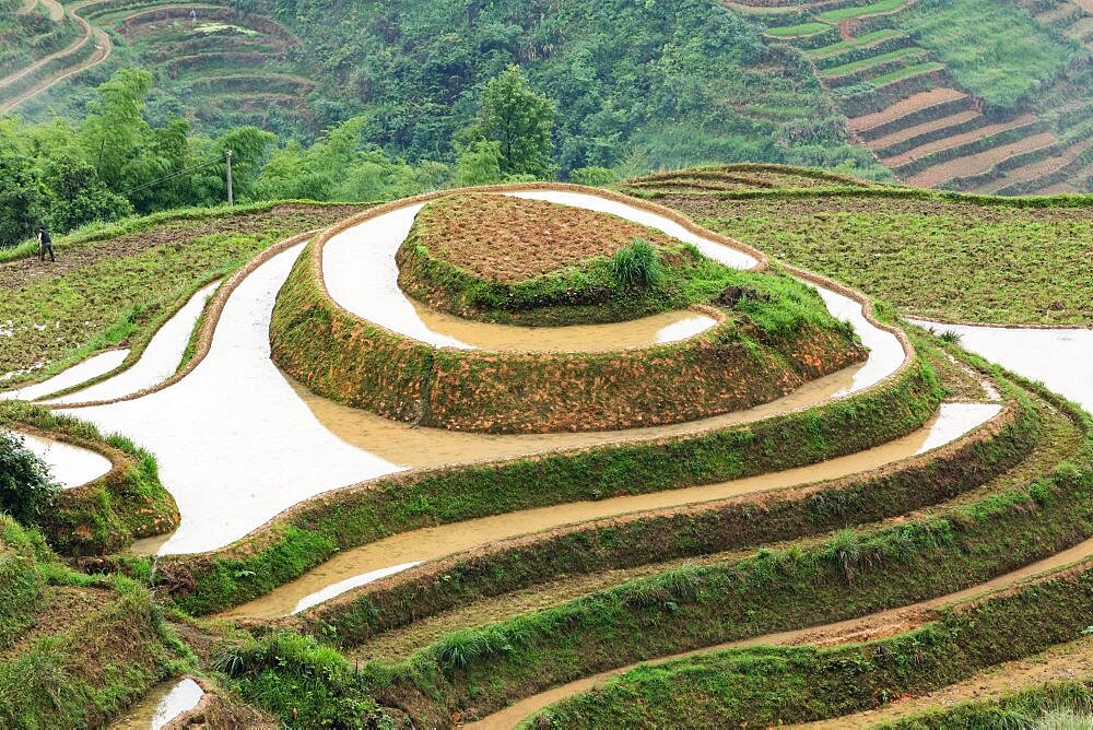 A farmer works to clear the Jinkeng section of the Longshen Rice Terraces in Guangxi, China.