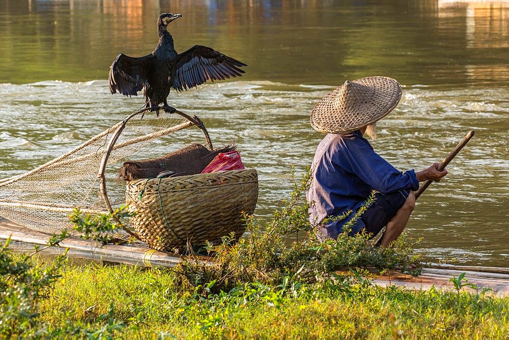 Elderly traditional cormorant fisherman with his cormorant on the Li River, Xingping, China.