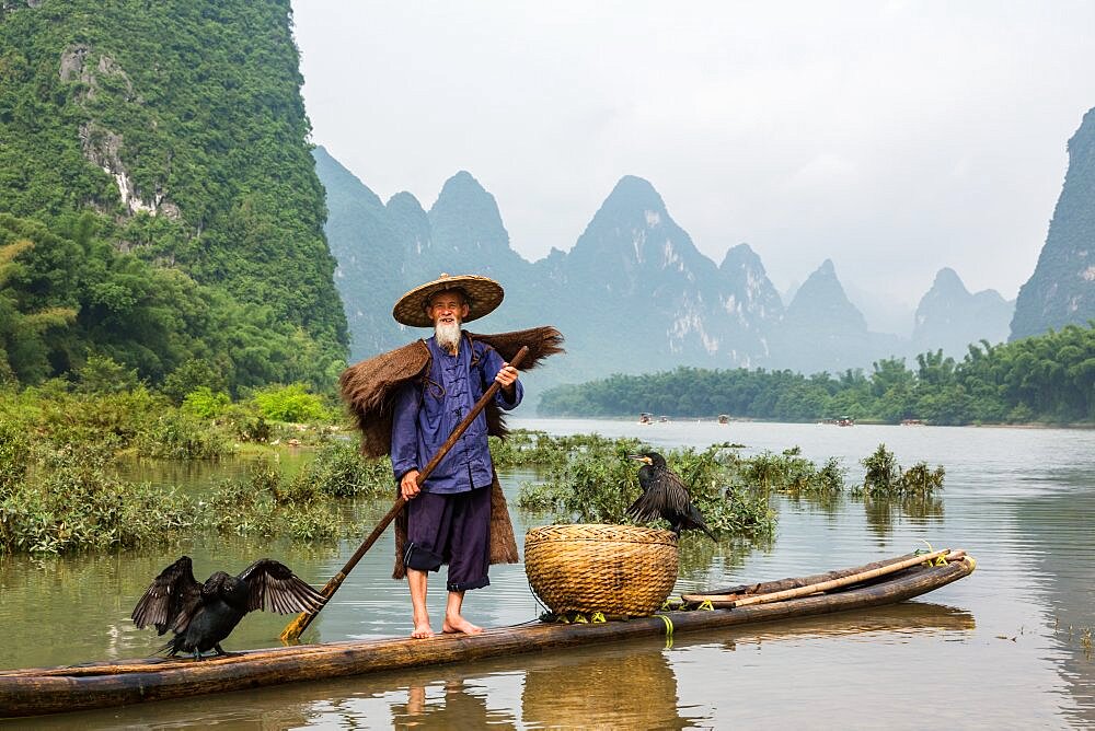 A traditional cormorant fisherman on a bamboo raft with his cormorants on the Li River, Xingping, China.