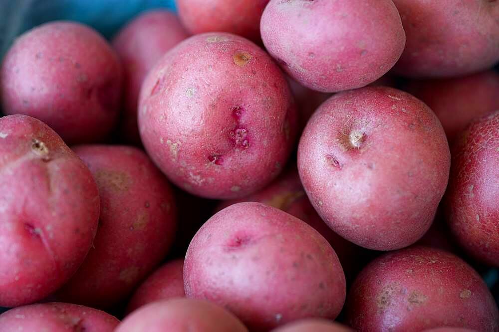 Eastern Shore Virginia potatoes at a farmer's market