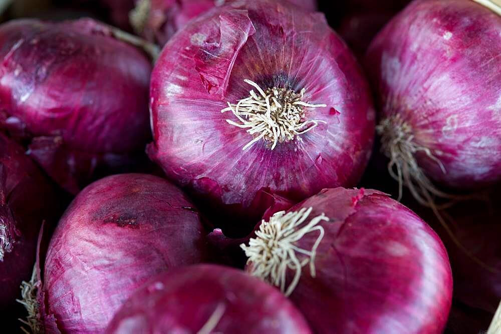 Eastern Shore Virginia red onions at a farmer's market