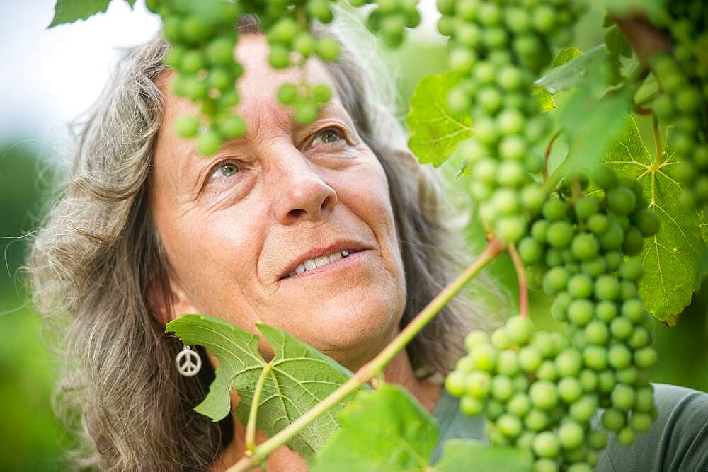 Woman Farmer inspecting grapes