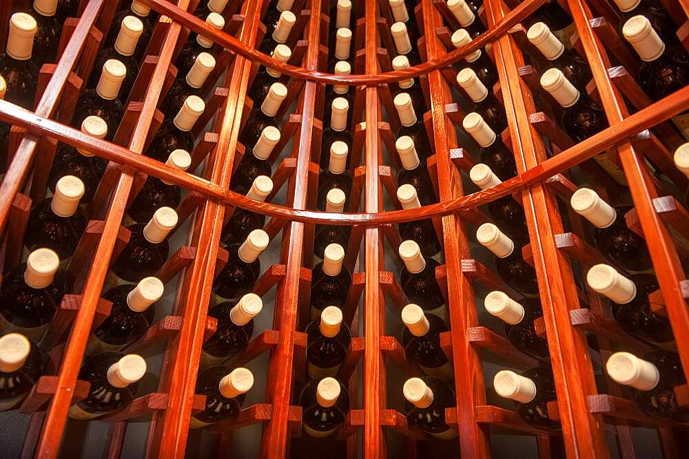 Wine bottles in wine rack