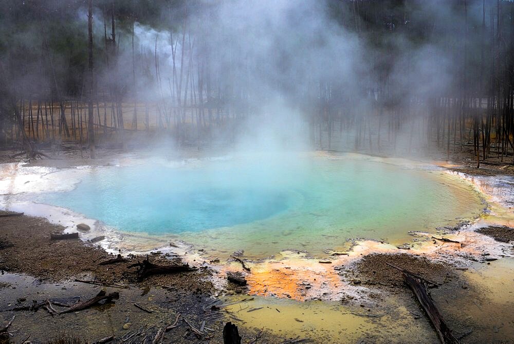 Norris Geyser Basin in Yellowstone National Park, USA