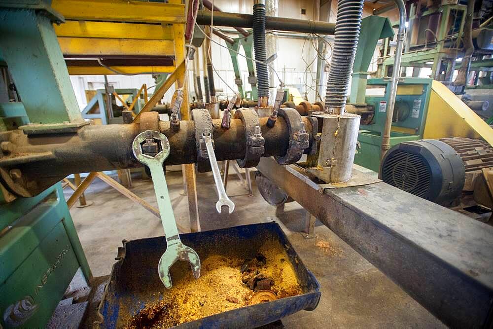 Inside soybean oil plant