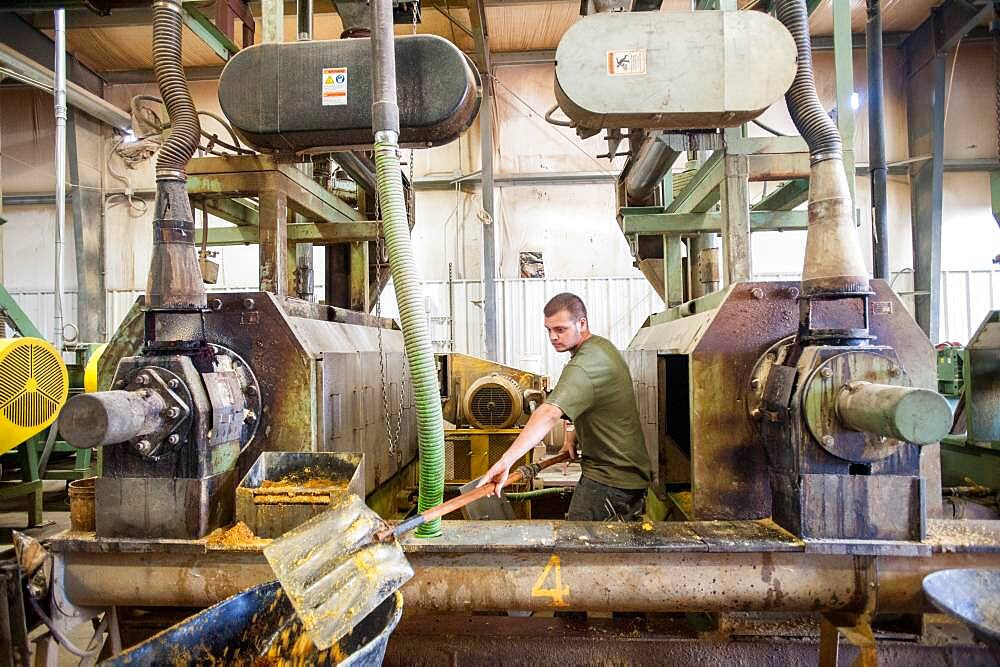 Man working at soybean oil plant