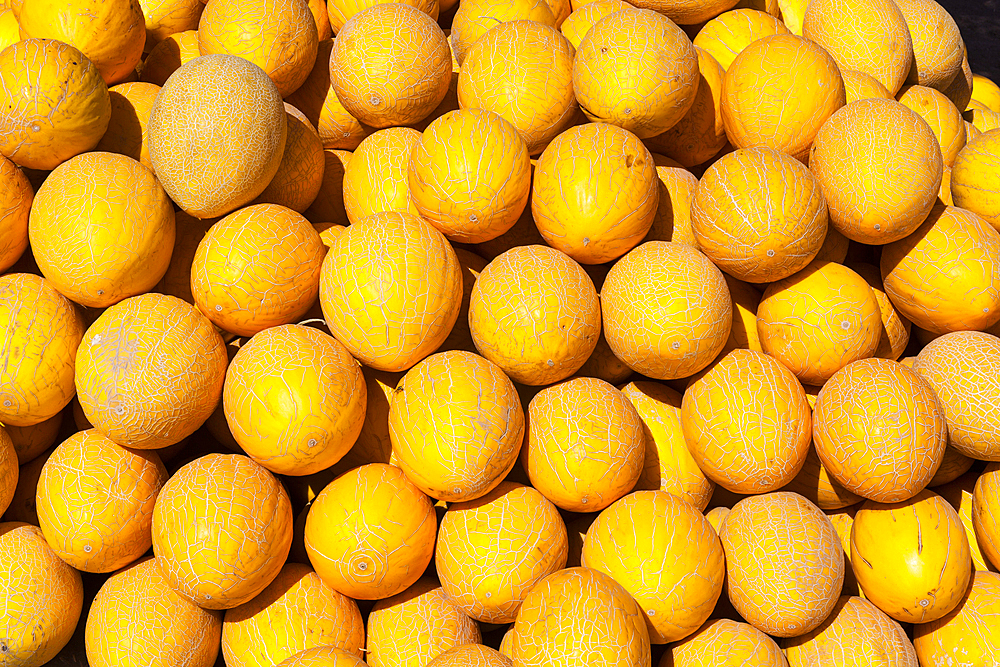 Melons for sale in an outdoor market, Shabboz, Beruniy District, near Urgench, Uzbekistan