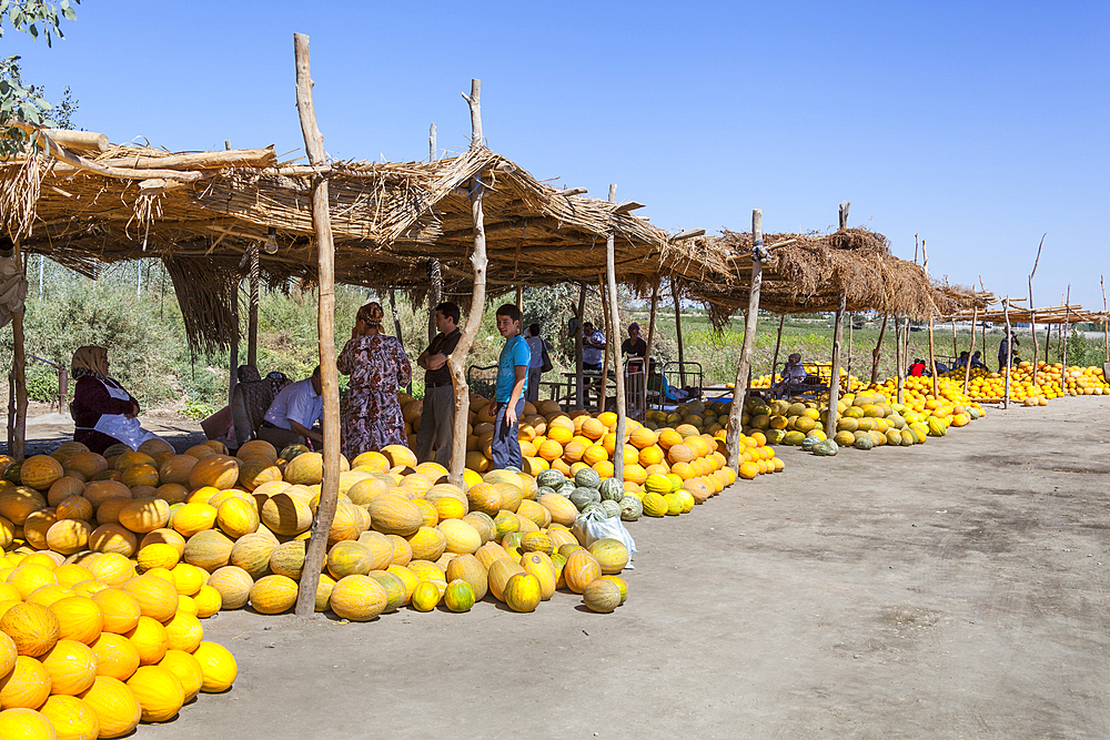 Melons for sale in an outdoor market, Shabboz, Beruniy District, near Urgench, Uzbekistan