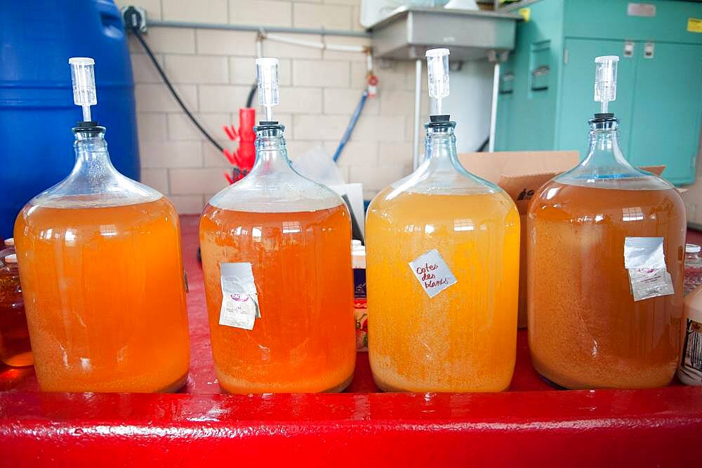 Apples, apple juice and cider press at a hard cider distillery