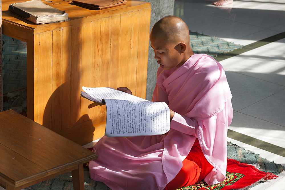 A young nun studying, Sakyadhita Thilashin Nunnery School, Sagaing, near Mandalay, Myanmar, (Burma)